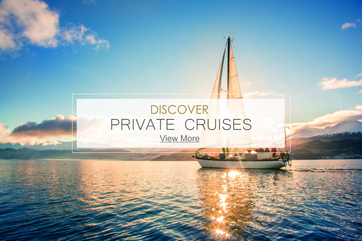 Private Cruises