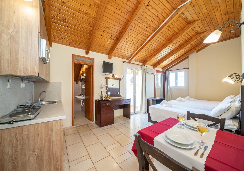 Studio with Sea View